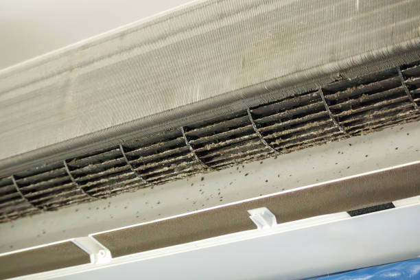 Best Duct Cleaning for Offices  in Urbana, MD
